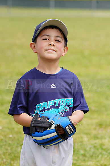 AGP09202