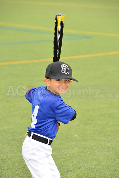 SB_TB_Ironbirds00082