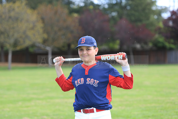 AARedSox060