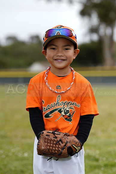TBGrasshoppers00101
