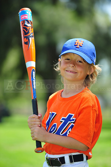 Farm_Mets092