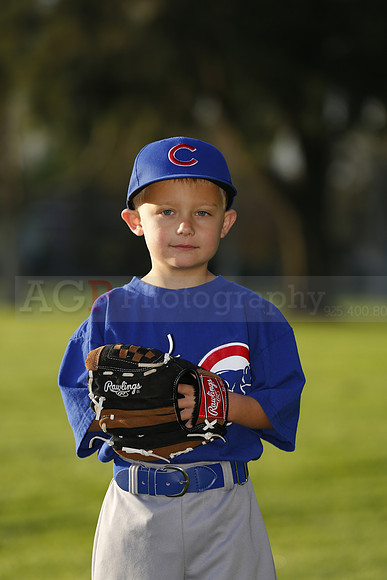 FarmCubs043