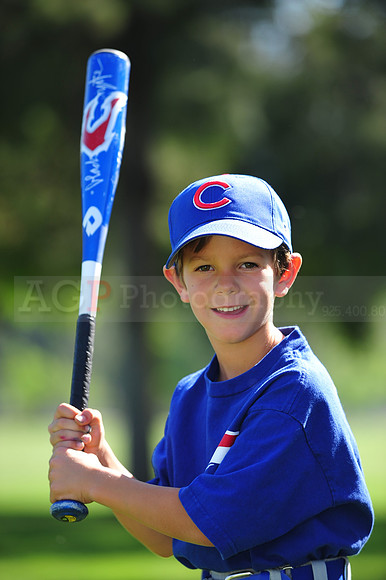 Farm_Cubs006