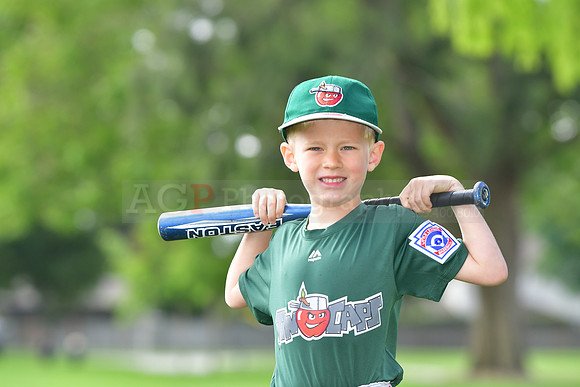 TBTincaps034