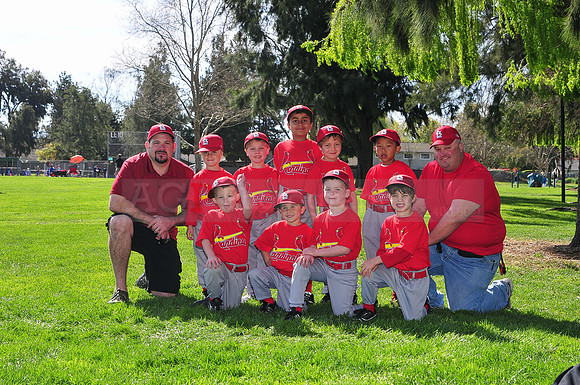 TBCardinals033