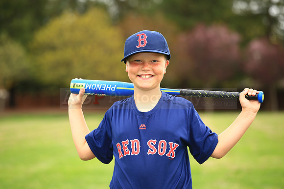 AARedsox061