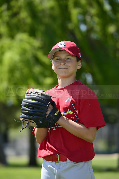 AAA Cards097