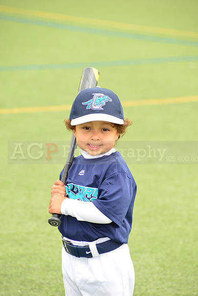 SB_TB_Raptors00194