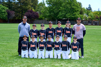 AAA GIANTS