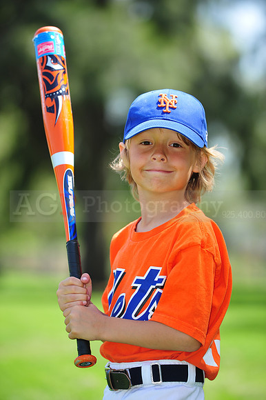 Farm_Mets091
