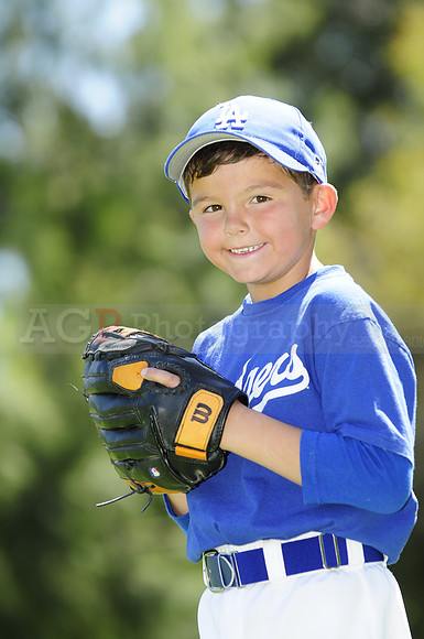 FarmDodgers062