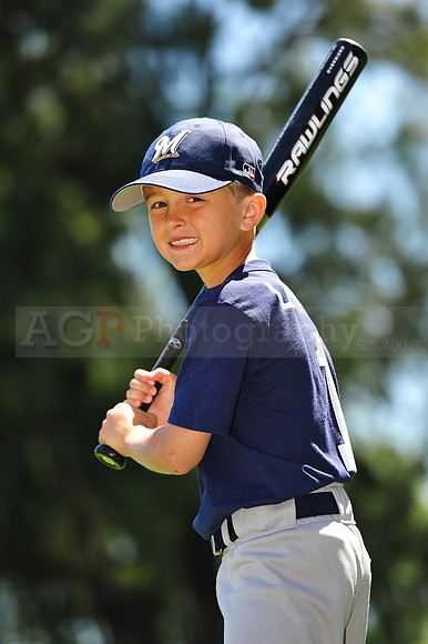 AA Brewers087