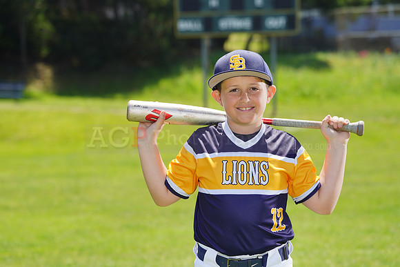 SB_PW_Lions009