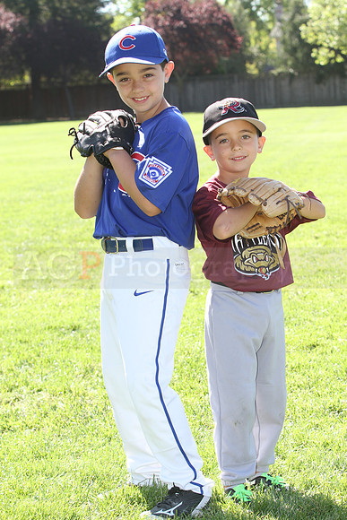 FMTimberRattlers045
