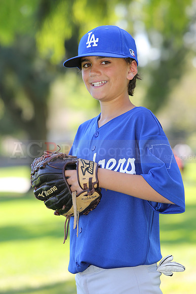 MajorDodgers030