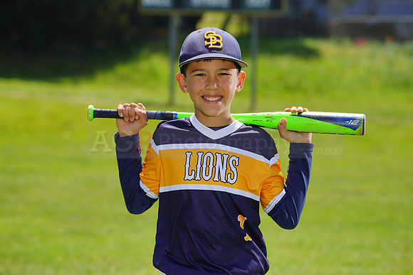 SB_PW_Lions043