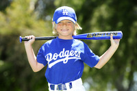 2011 Farm Dodgers