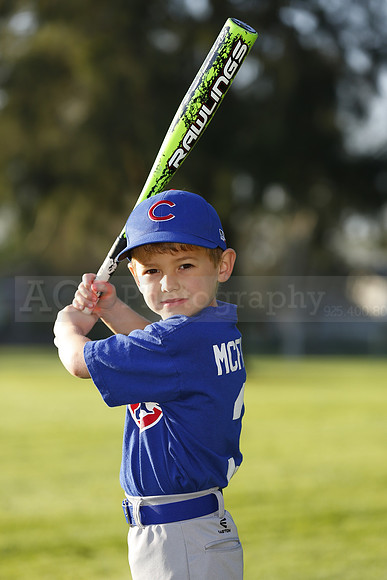 FarmCubs071