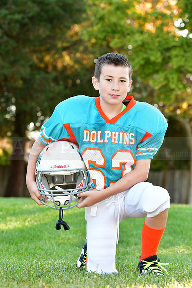 Dolphins106