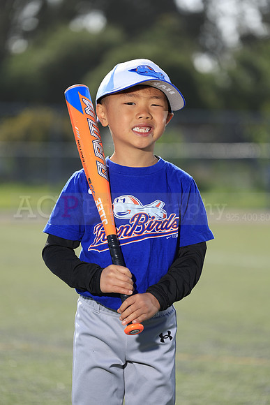 SB_TB_IronBirds035
