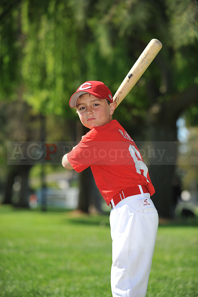 Farm_Reds024