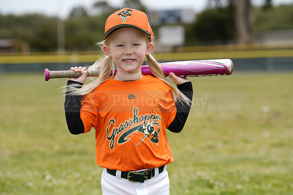 TBGrasshoppers00092