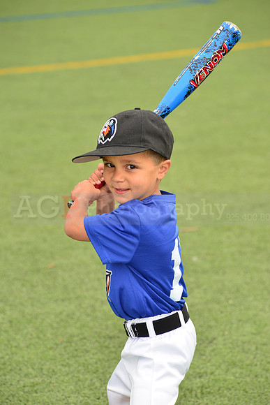 SB_TB_Ironbirds00006
