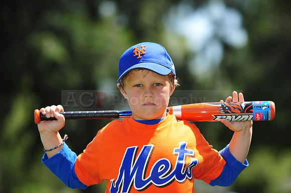 Farm_Mets056