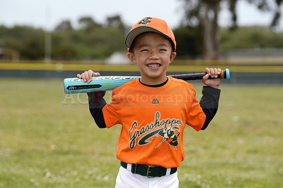 TBGrasshoppers00030