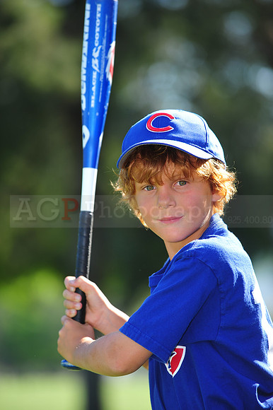 Farm_Cubs105