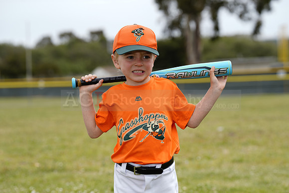 TBGrasshoppers00052