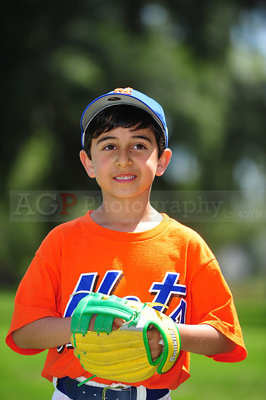 Farm_Mets035