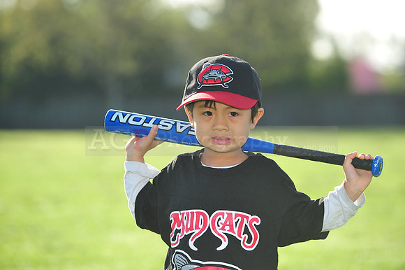 TBMudcats066