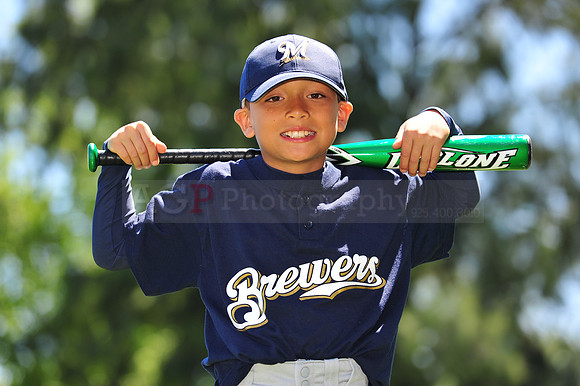 AA Brewers072