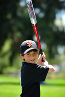 AAA_Giants004