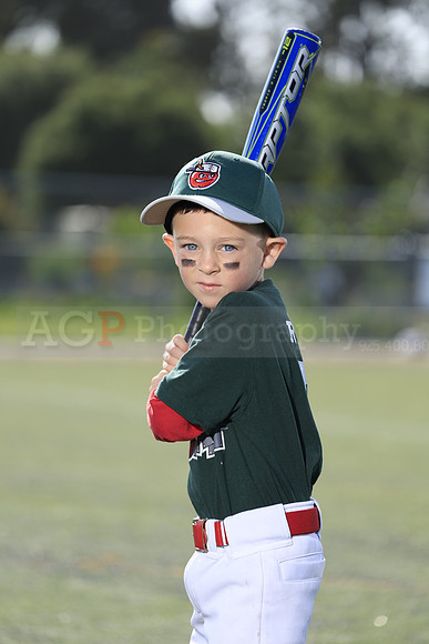 SB_TB_TinCaps031