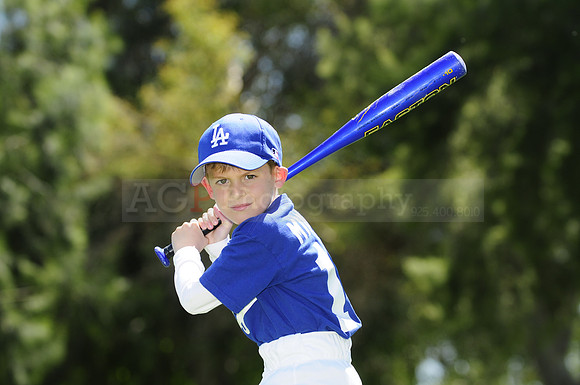 FarmDodgers074
