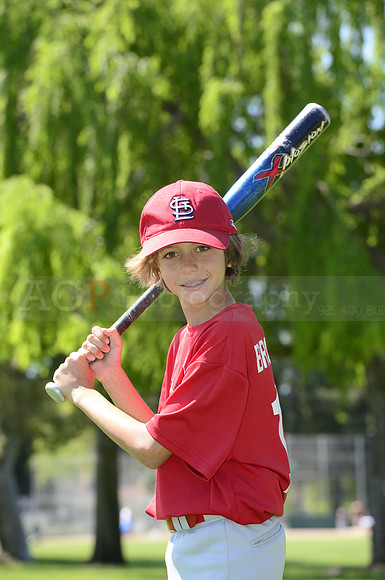 AAA Cards037