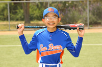 SB_BR_Mets00009