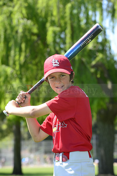 AAA Cards030