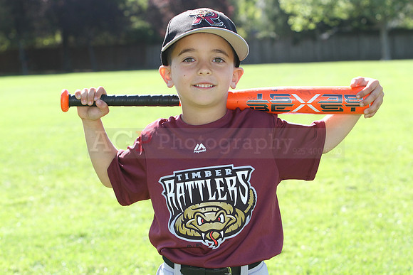 FMTimberRattlers037