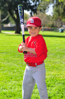 TBCardinals018