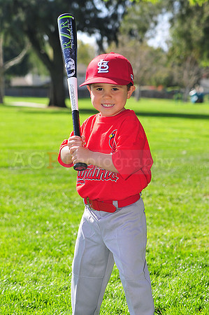 TBCardinals018