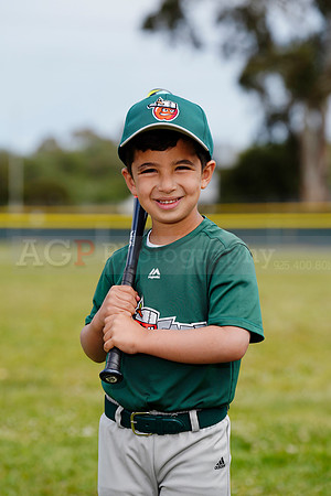 TBTinCaps00027