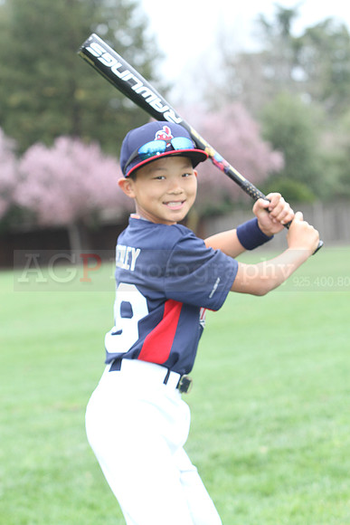 AAAIndians053