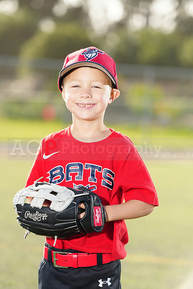 SB_TB_Bats030