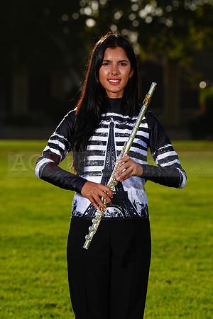 AVHS_MB_Ind0010