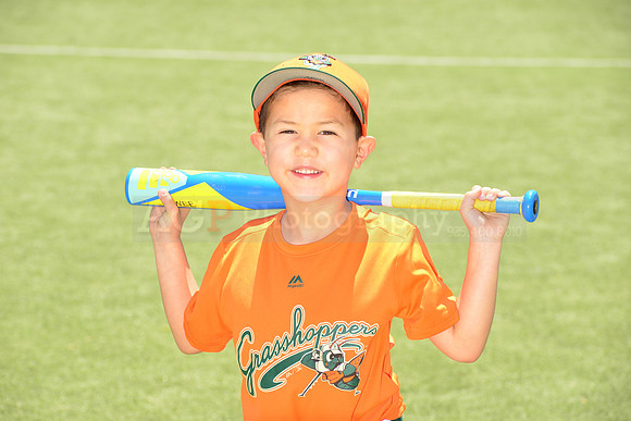 SB_TB_Grasshoppers00048