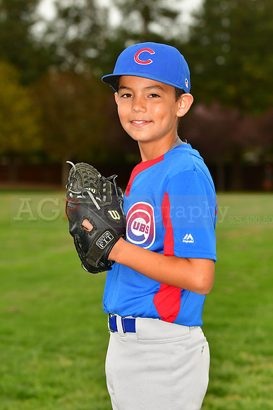 AAACubs033