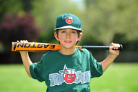 FmTinCaps015
